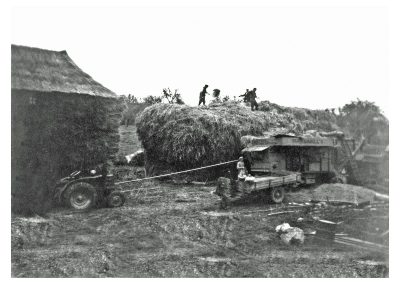 Threshing at Farwood Barton now the site of the dairy unit. Early 1950's.