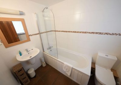 Bathroom in the Apple Loft with shower over the bath